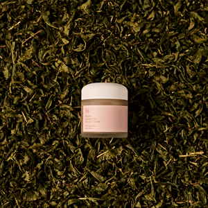 Dr. Ceuracle Vegan Kombucha Tea Gel Cream 75g